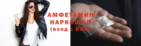 прущие грибы Аркадак